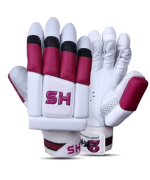 HS 2 Star Batting Gloves