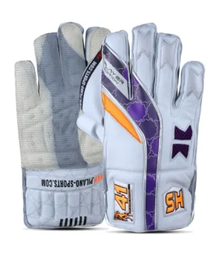 HS 41 Wicket Keeping Gloves