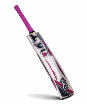 HS 2 Star – English Willow Cricket Bat