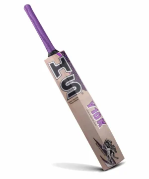 HS Y10K – English Willow Cricket Bat