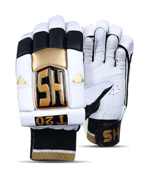 HS T20 Batting Gloves
